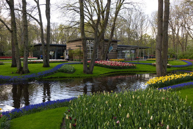 Amsterdam mama 2026-5060.jpg